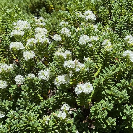 In Lucia - Der Traum Am Bach Apartment Leukerbad