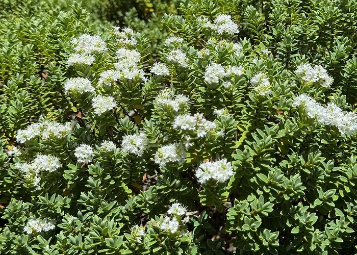 In Lucia - Der Traum Am Bach Appartement Loèche-les-Bains